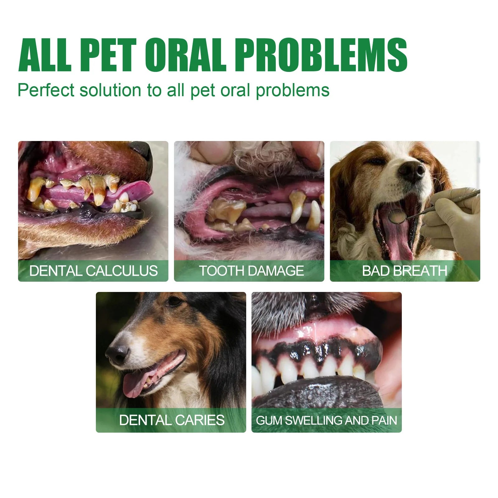 Yegbong 30ml Pet Oral Cleansing Spray Mouth Fresh Dogs Cats Remove Bad Breath Oral Deodorant Teeth Stain Tartar Remover Spray