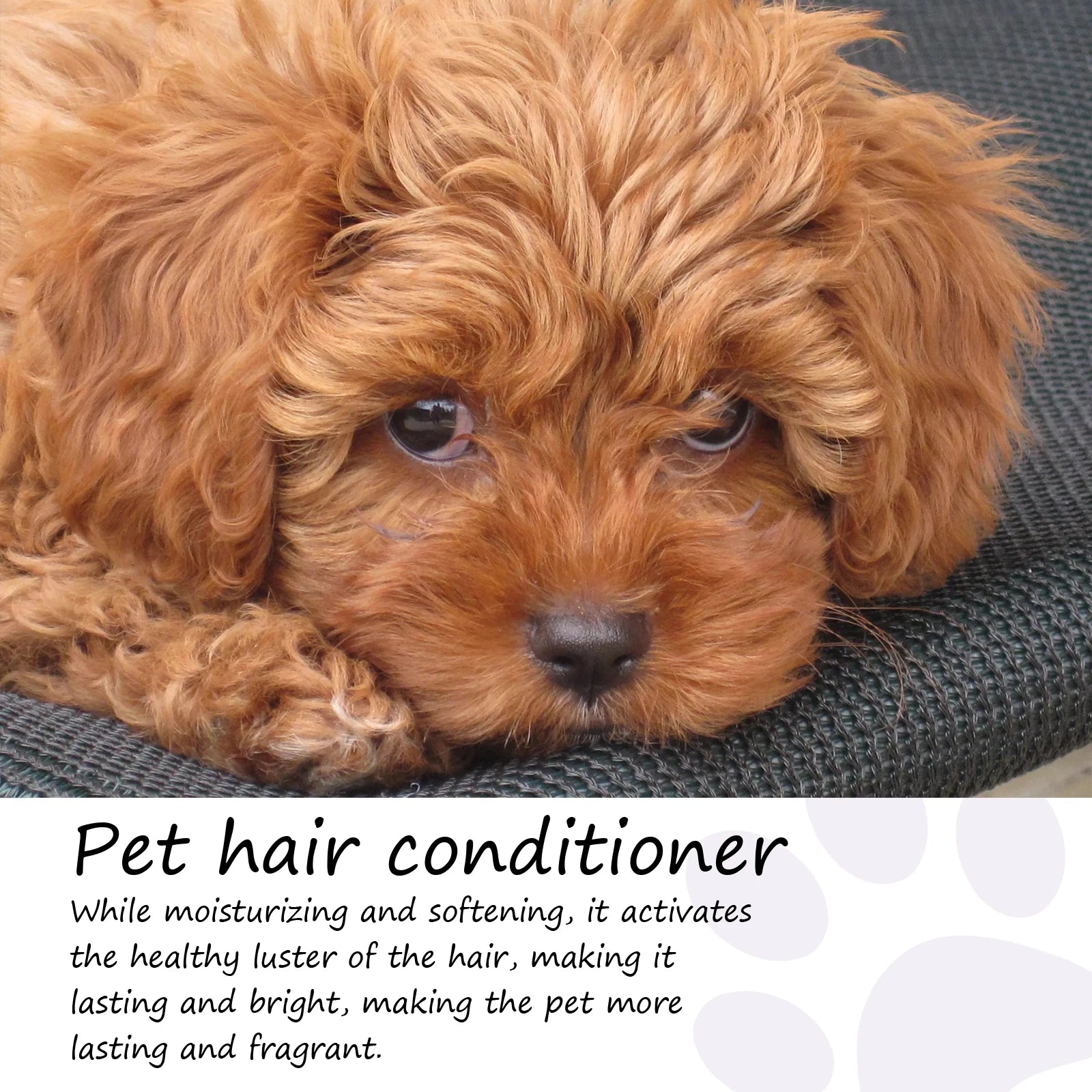 Yegbong Pet Hair Conditioner Cleaning Hair Dirts Volumizing Thickening Pet Hair Prevent Tangling Smoothing Pet Hair Conditioner