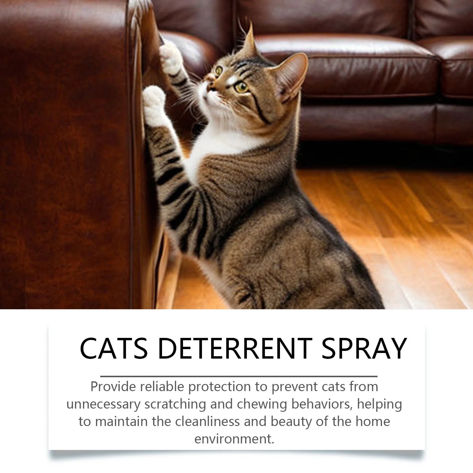 100ml Cat Training Spray - Stops Urination on Furniture, Gentle Care, Supports Healthy Habits, Vet Recommended