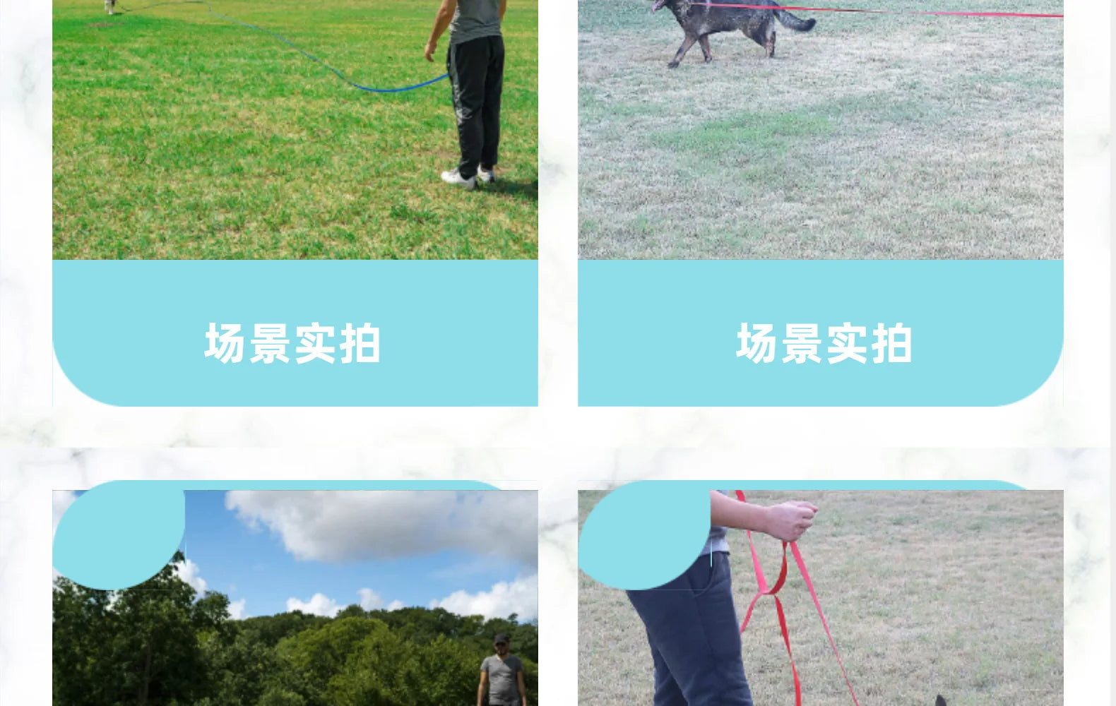 Pet Leash 3M 6M 10M 20M 50M Dog Puppy Obedience Recall Training Agility Lead Training Leash for Training Play Camping Backyard