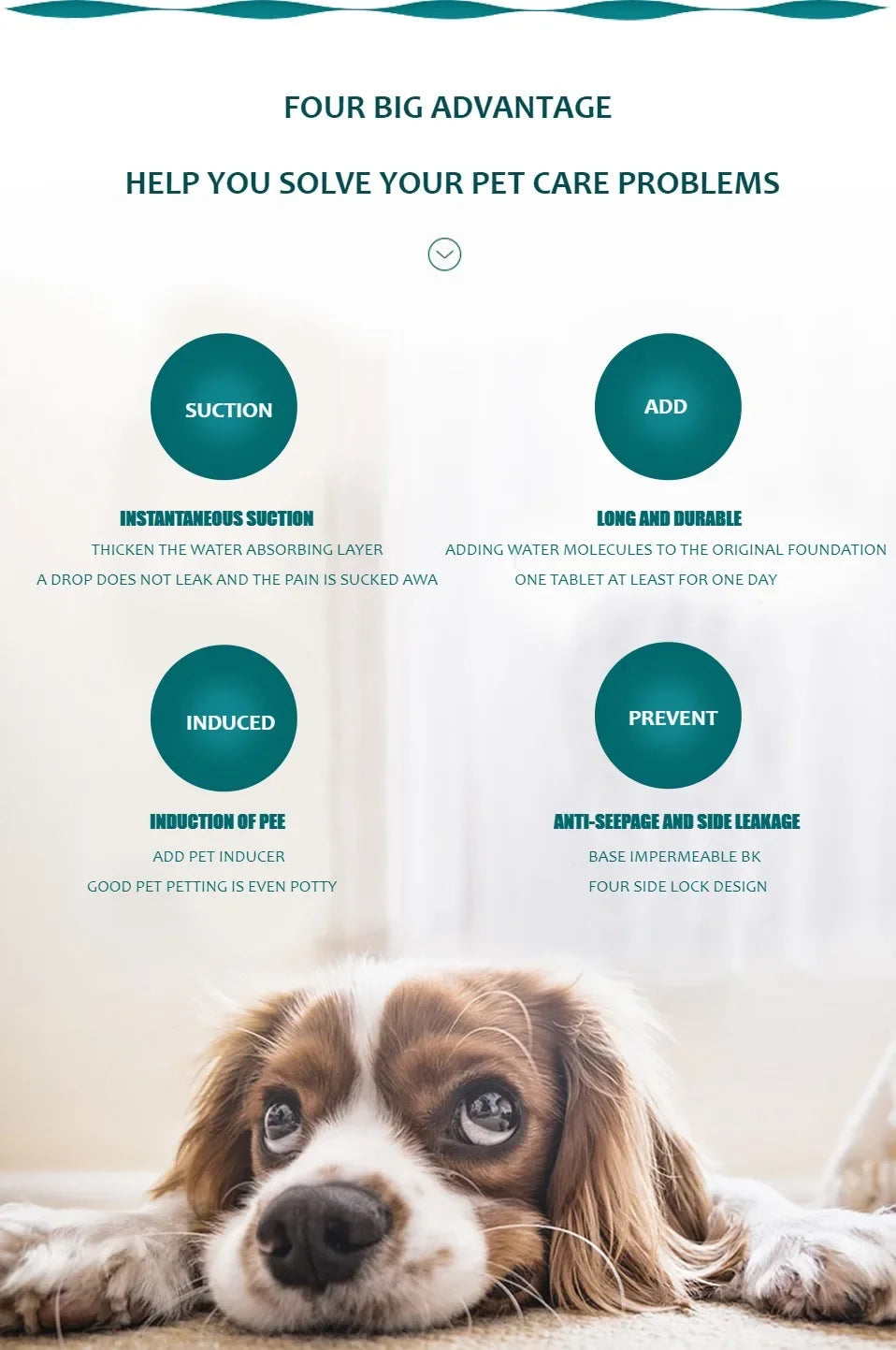 Dog Pee Pad Blanket Reusable Absorbent Diaper Washable Puppy Training Pad Pet Bed Urine Mat for Pet Car Seat Cover Pet Supplies