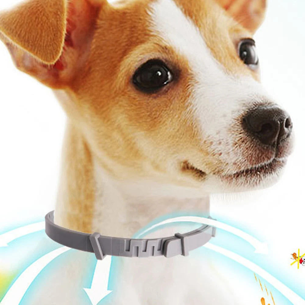 1-3Pcs Dog Calming Pheromone Collars Cats Relieve Anxiety Adjustable Comfortable Collar For Puppy Kitten Large Dog Accessories