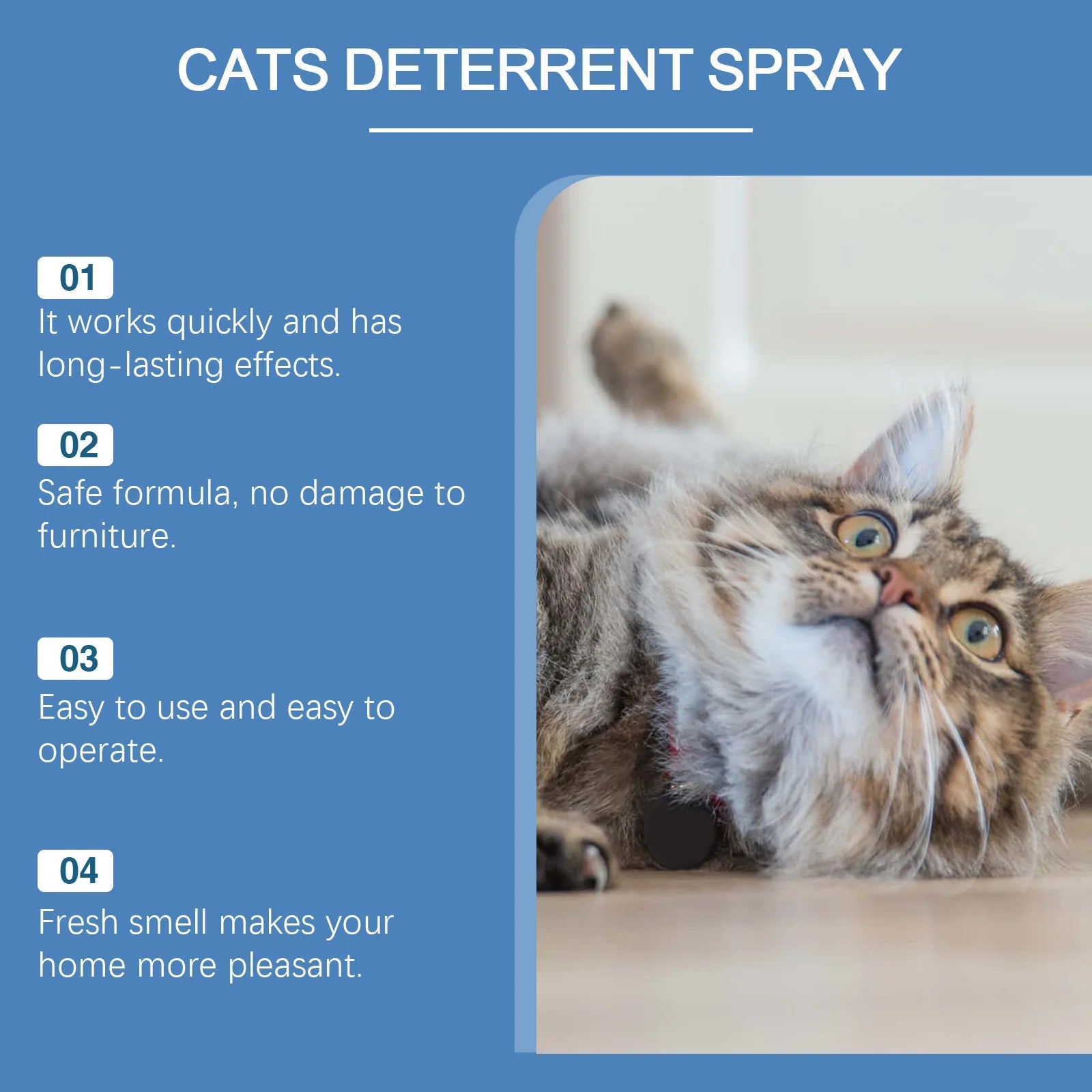 100ml Cat Training Spray - Stops Urination on Furniture, Gentle Care, Supports Healthy Habits, Vet Recommended