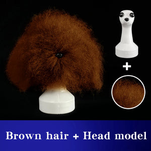 teddy Pet simulated head hair fake dog head model beautician practice cutting dog hair dog body Wig Pet Grooming Student study