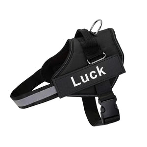 Dropshipping Dog Harness Vest ID Patch Customized Reflective Breathable Adjustable Pet Harness For Small Large Dogs NO PULL
