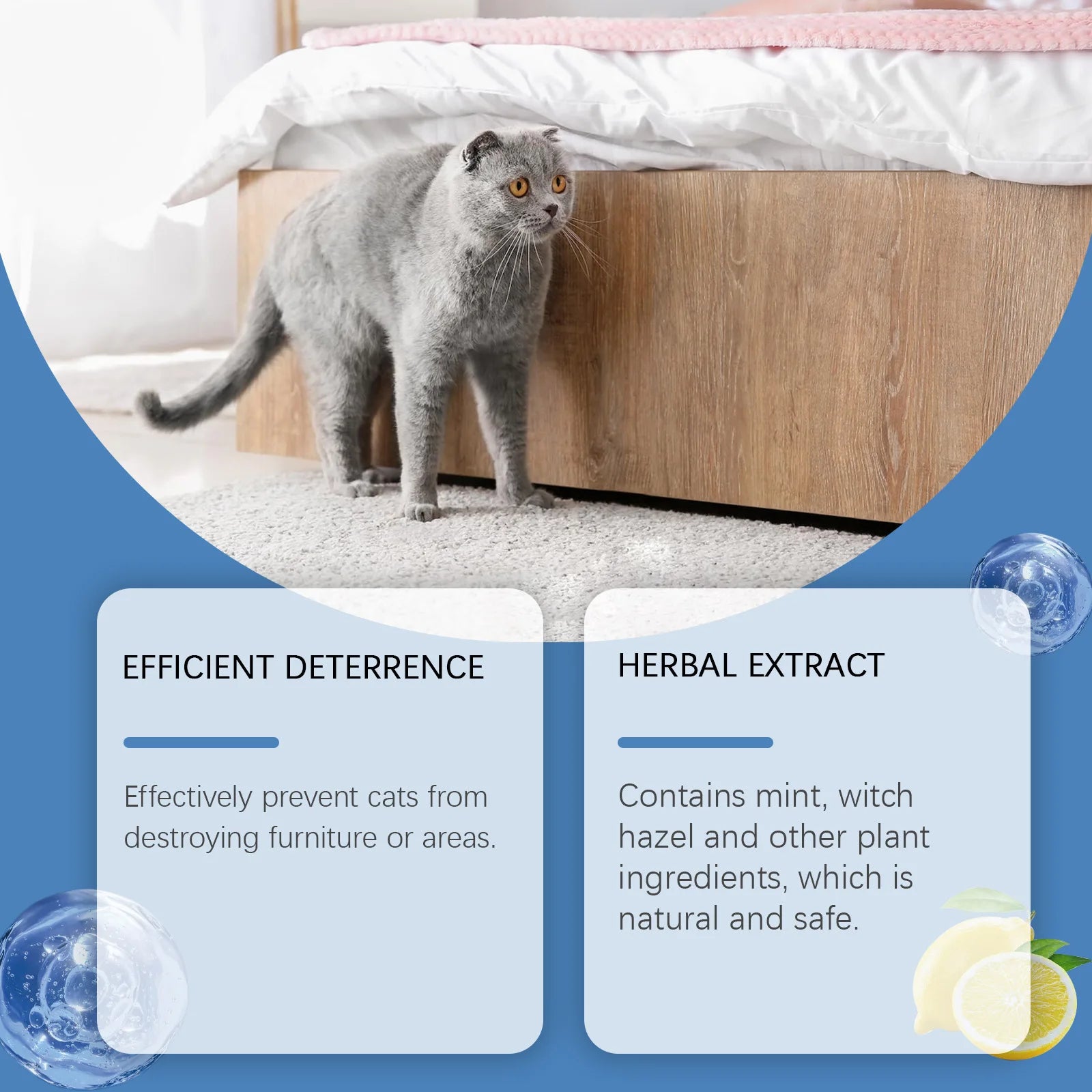100ml Cat Training Spray - Stops Urination on Furniture, Gentle Care, Supports Healthy Habits, Vet Recommended
