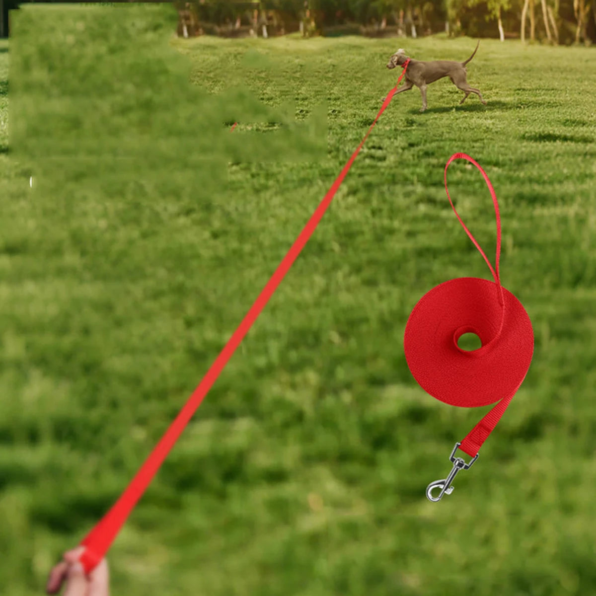 30M Dog Traction Rope Leash Wide Dogs Training Leashes Outdoor Running Walking Pet Nylon Leashes Pet Tow Webbing Outside Supply
