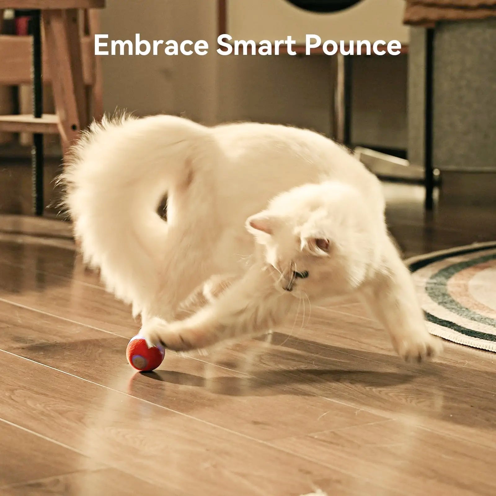 ZMaker 2024 Hot sale Interactive Cat Ball Toy Automatic Moving Ball Toy for Indoor Smart Cat Rolling Ball