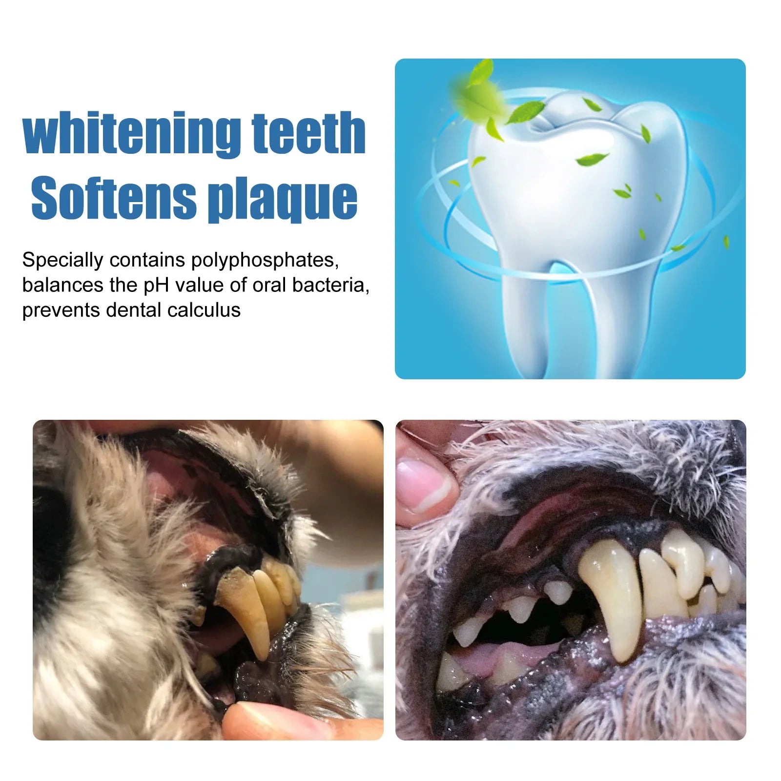Pet Tartar Remover, Dog Calculus, Yellow Teeth, Bad Breath, Teeth Cleaning, Pet Oral Foam Cleaner