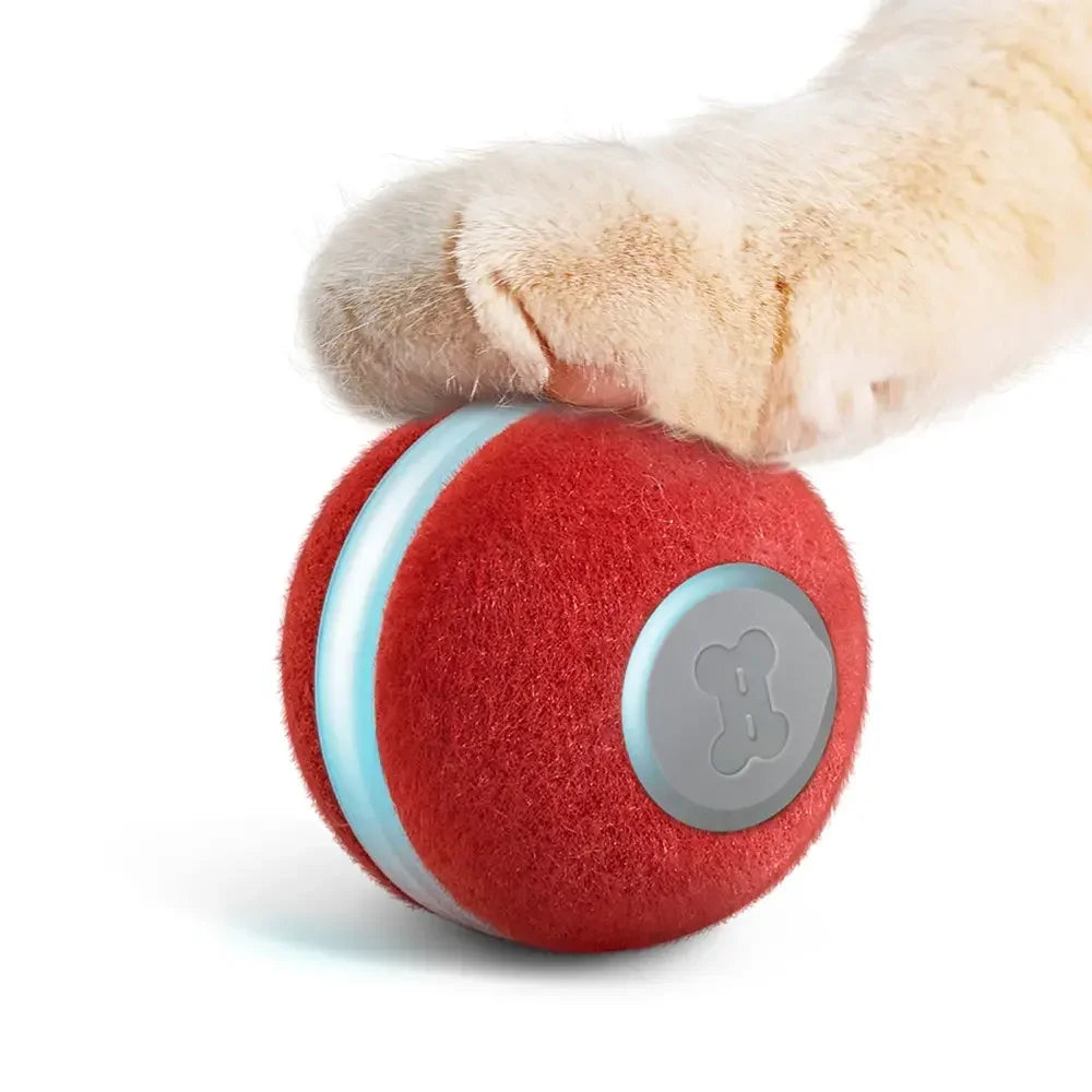 ZMaker 2024 Hot sale Interactive Cat Ball Toy Automatic Moving Ball Toy for Indoor Smart Cat Rolling Ball
