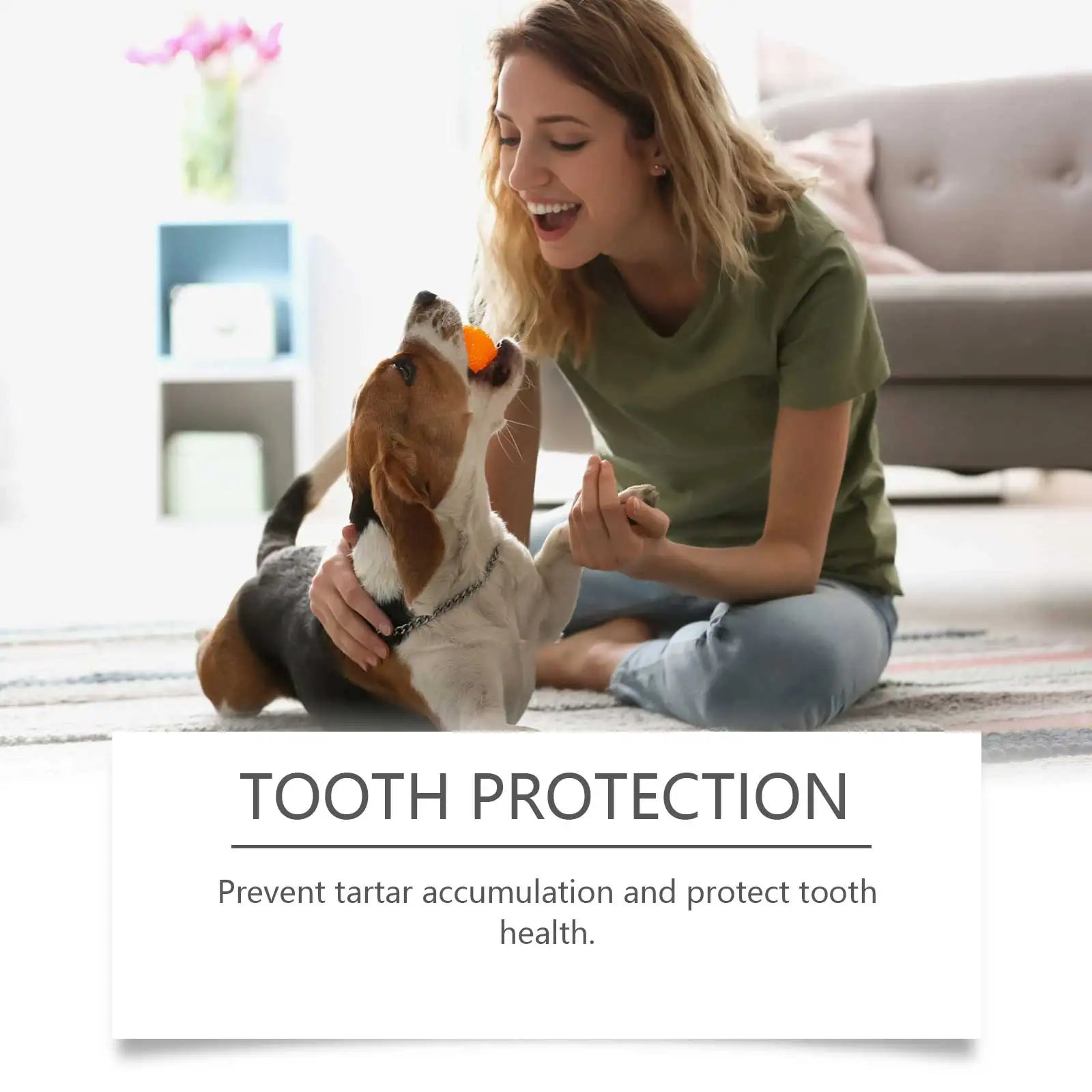 100ml Dog Mouth Wash Tooth Stains Cleaning Liquid Tartar Control Soothes Gums Bad Breath Freshing Deodorant Pet Oral Supplies