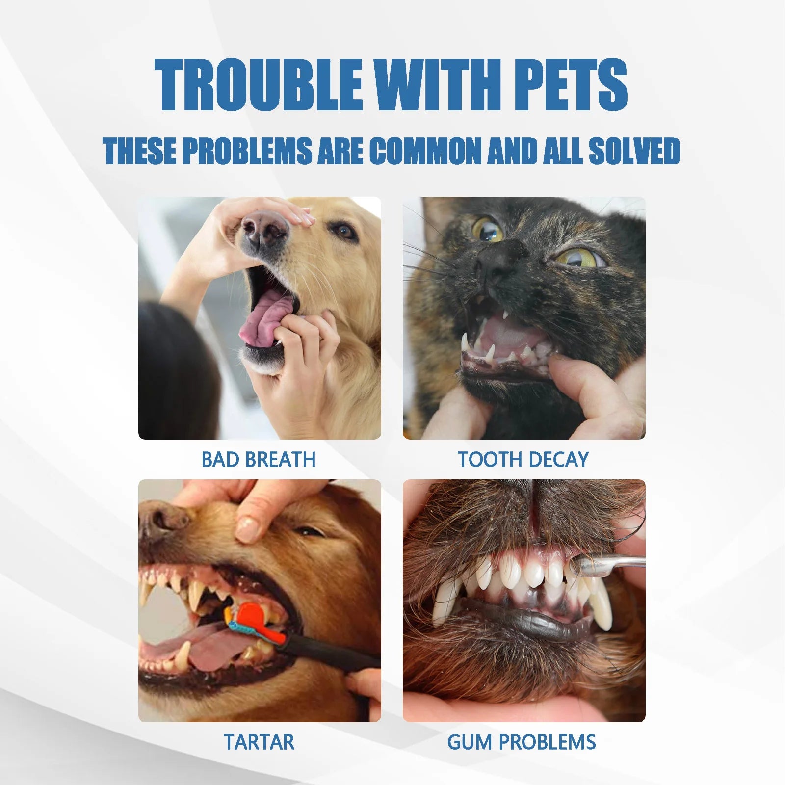 Pet Tartar Remover, Dog Calculus, Yellow Teeth, Bad Breath, Teeth Cleaning, Pet Oral Foam Cleaner