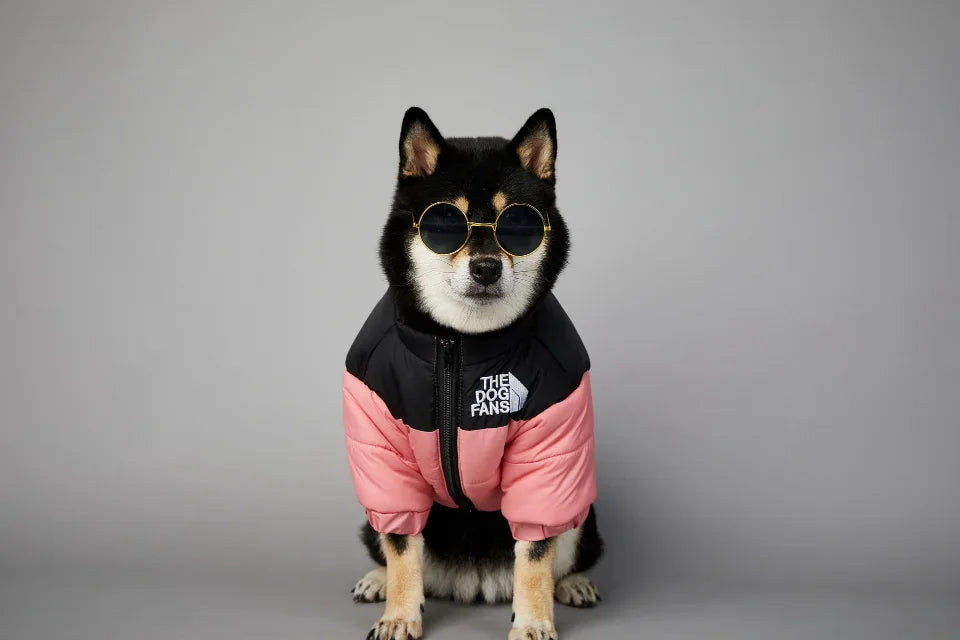 Puppy Coat Dog Down Jacket The Dog Fans Winter Pet Clothes for Small Medium Dogs Warm Thick Dog Vest French Bulldog