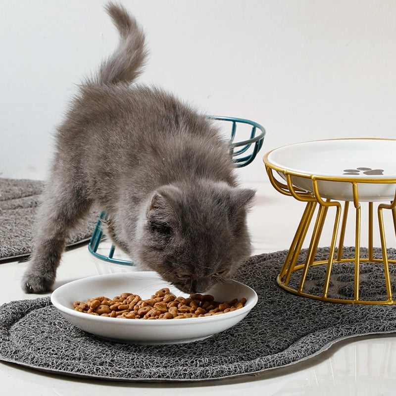 2024 New Pet Ceramic Bowl Iron Rack Cat Food Snacks Canned Plate Anti-Black Chin Anti-Turning Water Does Not Leak Easy To Eat