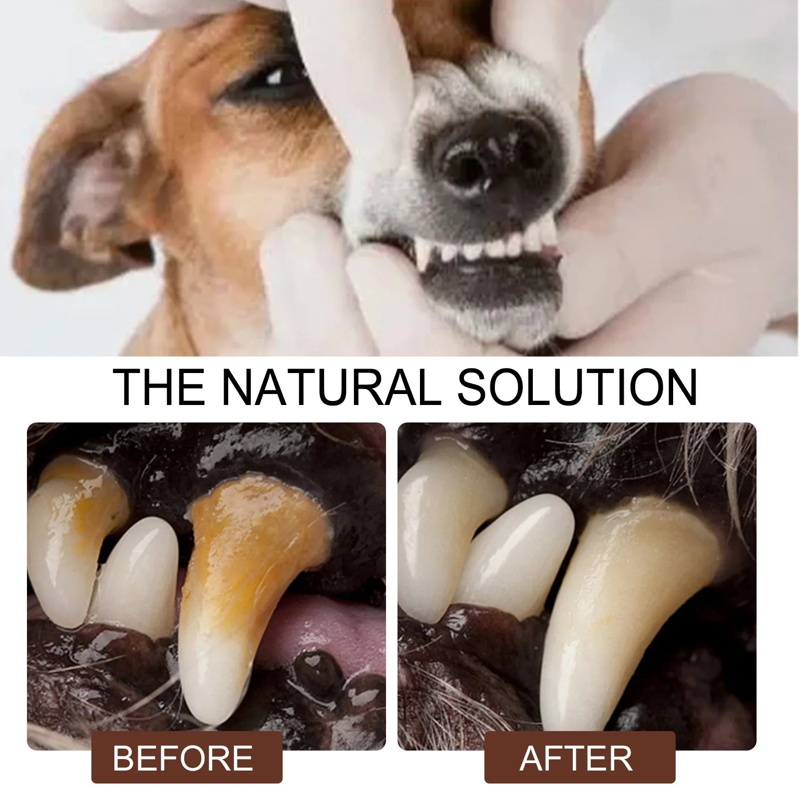 Pet Oral Care Spray Teeth Cleanse Tartar Removal Dental Care Deodorization Remove Bad Breath Freshener Dog Mouth Cleaning Liquid