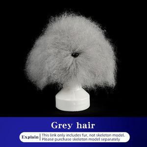 teddy Pet simulated head hair fake dog head model beautician practice cutting dog hair dog body Wig Pet Grooming Student study