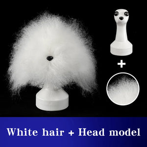 teddy Pet simulated head hair fake dog head model beautician practice cutting dog hair dog body Wig Pet Grooming Student study