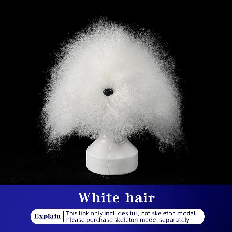 teddy Pet simulated head hair fake dog head model beautician practice cutting dog hair dog body Wig Pet Grooming Student study