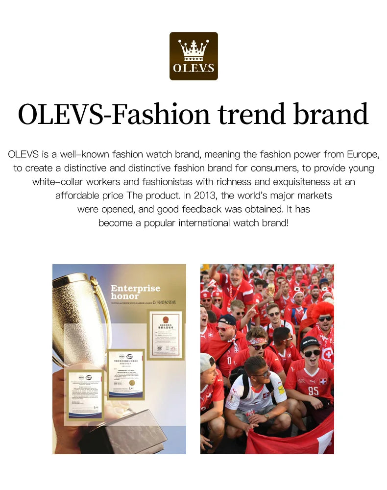 OLEVS Mens Quartz Watches Top Brand Luxury Business Waterproof Luminous Large Dial Men Wristwatches Sports Stainless Steel Watch - You Offer