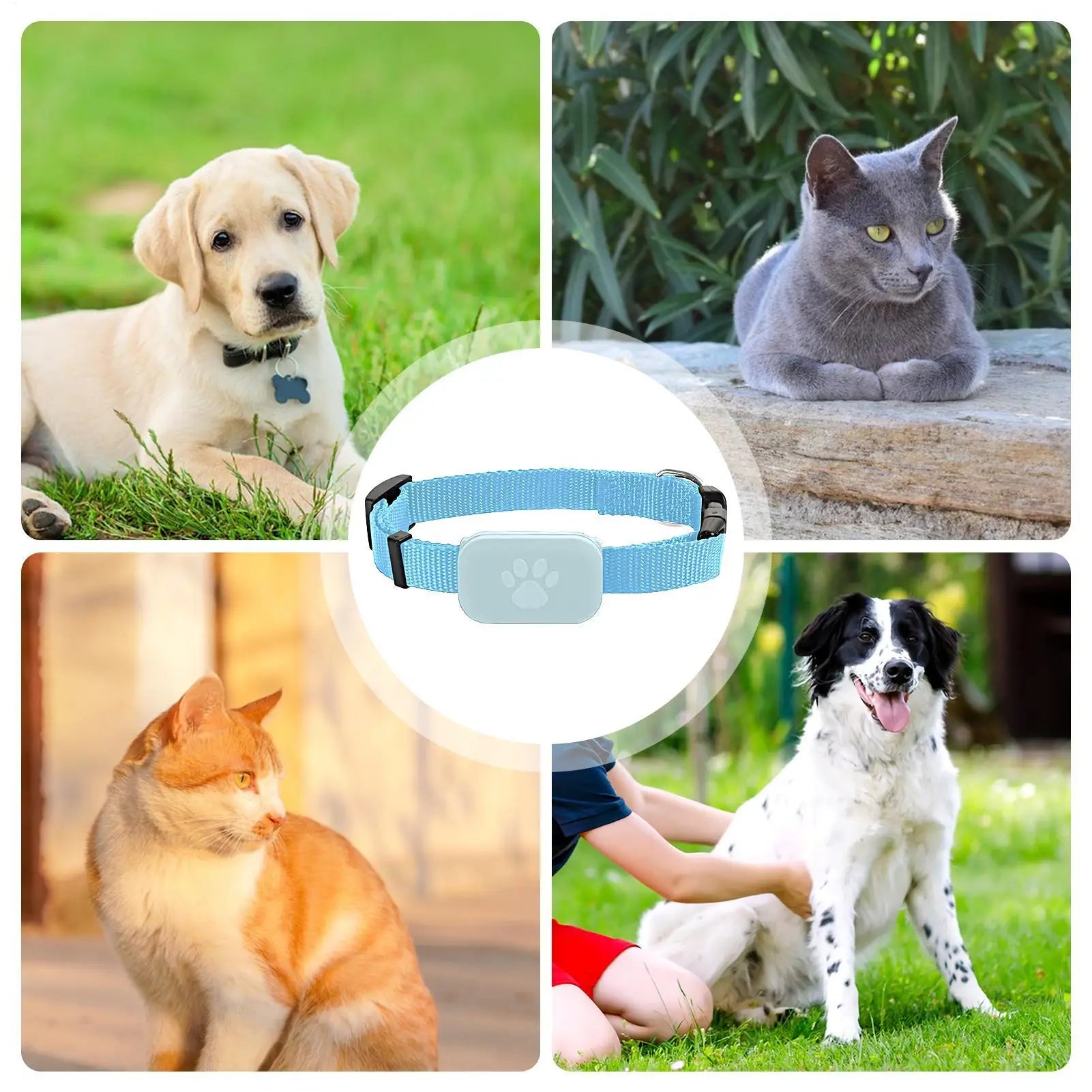 Cat GPS Cat Colla Safety Protection Long-Lasting Battery Pet Cat Locate Supplies For Medium Large Puppy