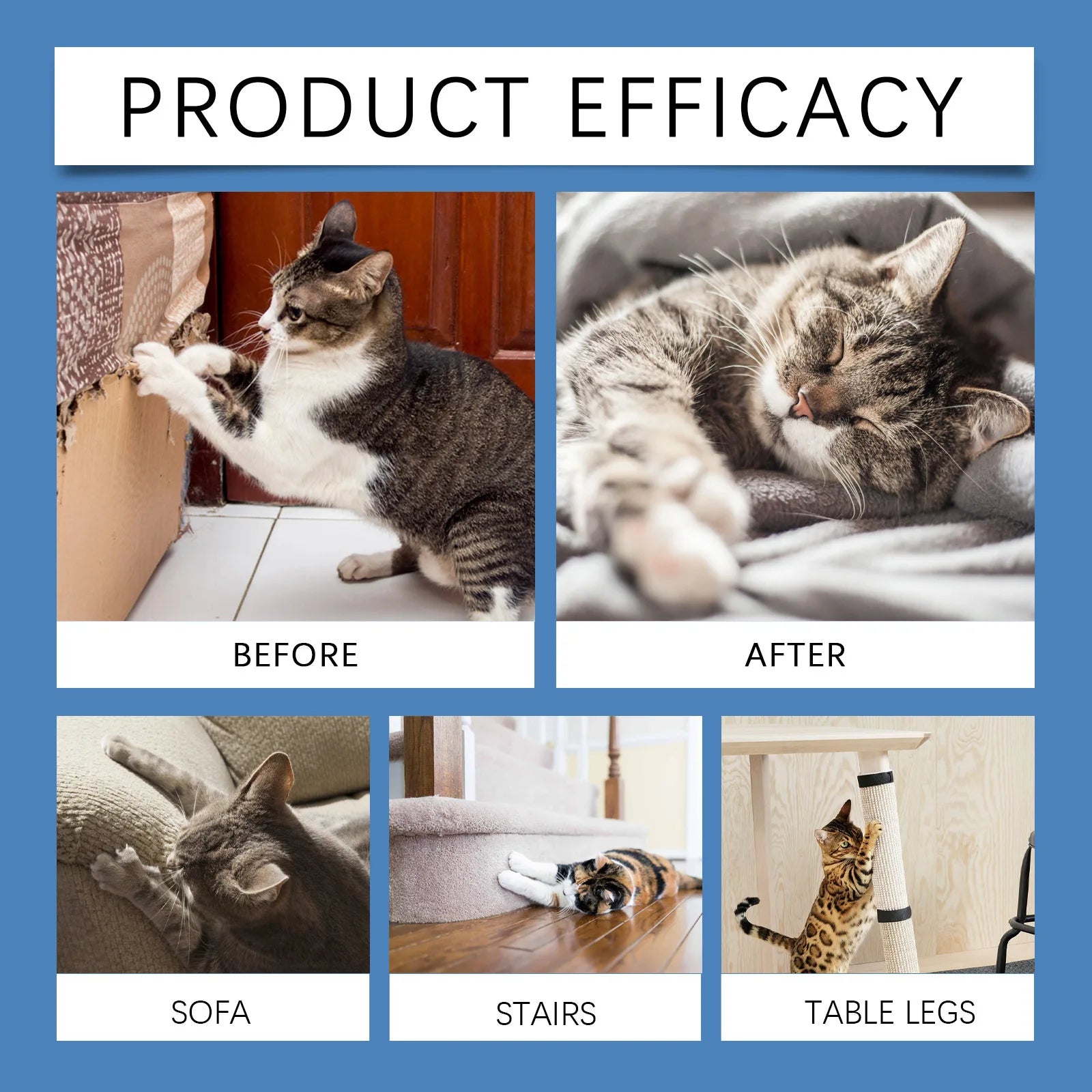 100ml Cat Training Spray - Stops Urination on Furniture, Gentle Care, Supports Healthy Habits, Vet Recommended