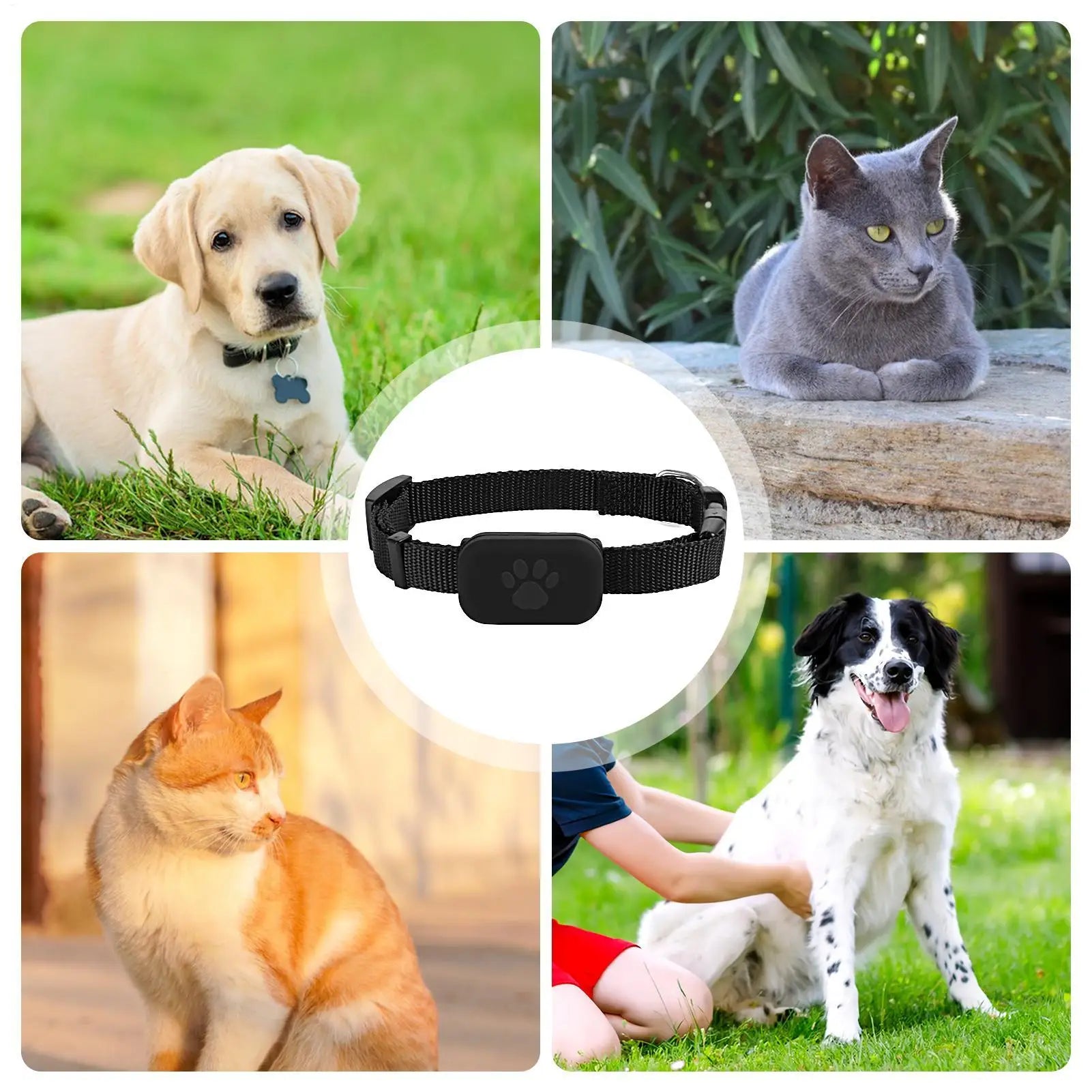 Cat GPS Cat Colla Safety Protection Long-Lasting Battery Pet Cat Locate Supplies For Medium Large Puppy