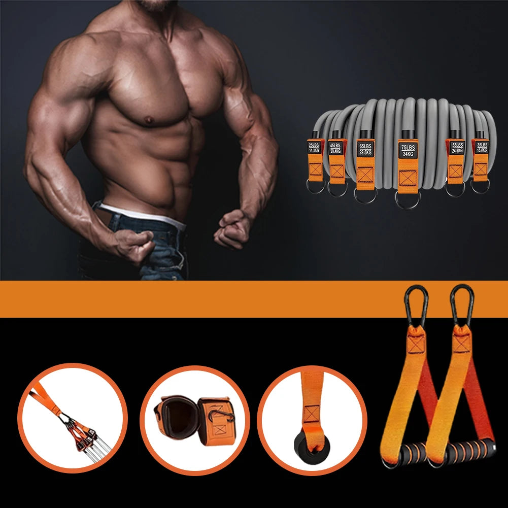 Resistance Bands Exercise Bands Heavy Duty Fitness Bands Set with Handles Workout Bands Multi-Function Home Gym Equipment - You Offer