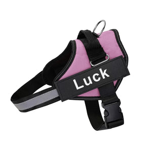 Dropshipping Dog Harness Vest ID Patch Customized Reflective Breathable Adjustable Pet Harness For Small Large Dogs NO PULL