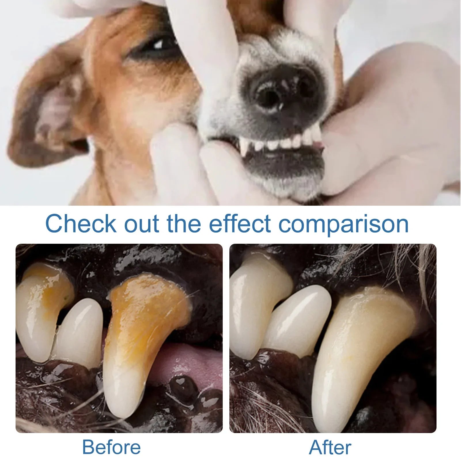 Pet Tartar Remover, Dog Calculus, Yellow Teeth, Bad Breath, Teeth Cleaning, Pet Oral Foam Cleaner