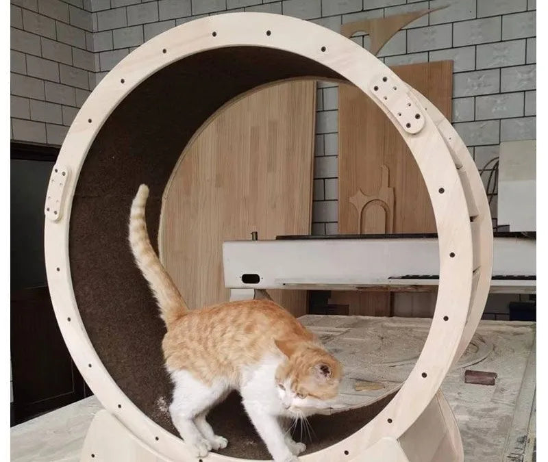 Solid Wood Cat Treadmill Small Running Wheel Large Cat Treadmill Roller Pet Fitness Pet Toys Silent Sports Track Pets Supplies