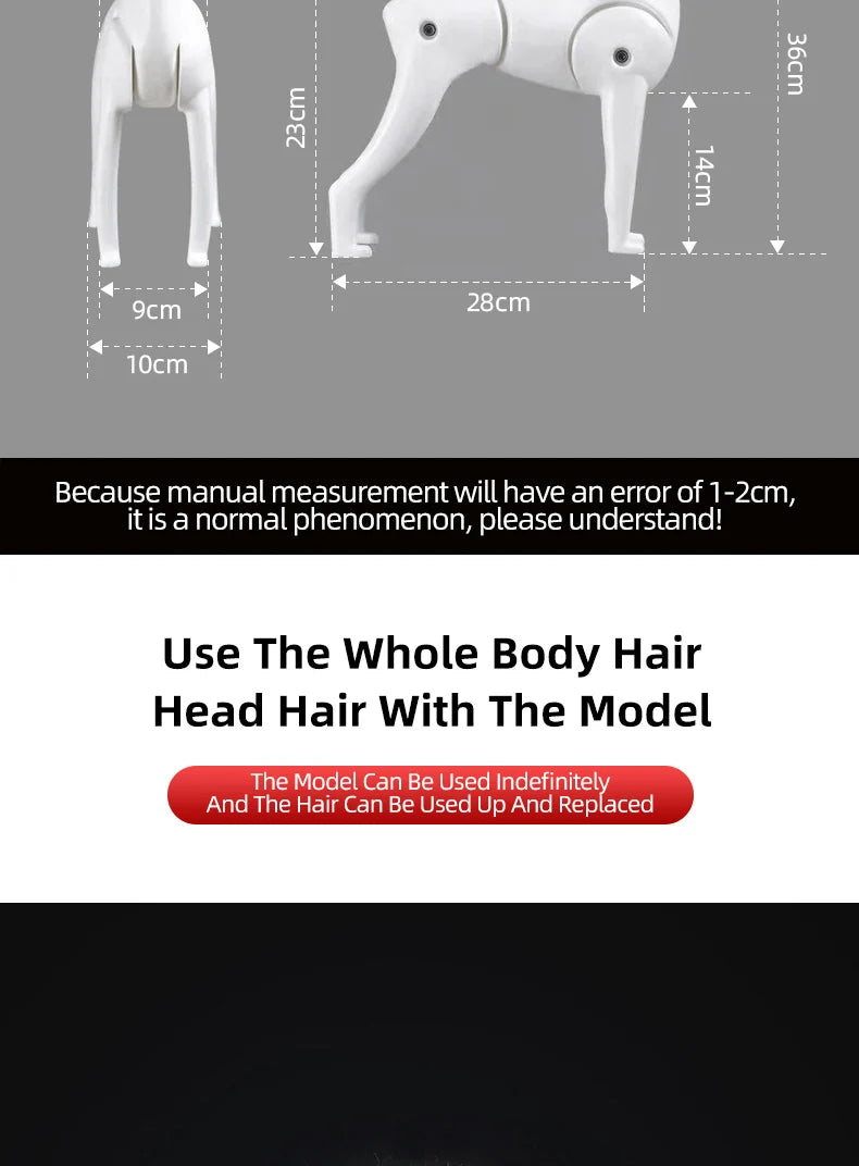 teddy Pet simulated head hair fake dog head model beautician practice cutting dog hair dog body Wig Pet Grooming Student study