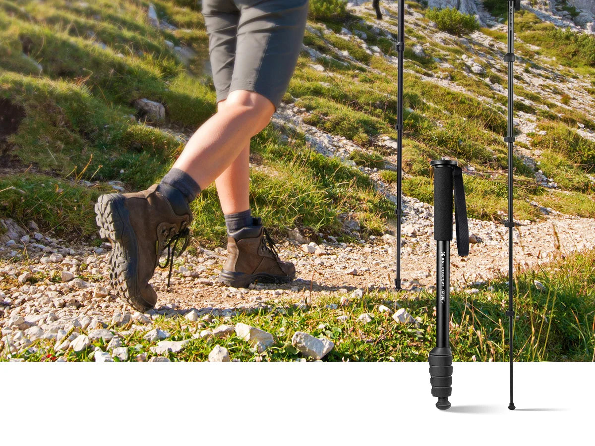K&F Concept 63'' Camera Monopod 5-Section Height Aluminum Monopod Lightweight Portable Cameras Accessories For Nikon Canon Leica