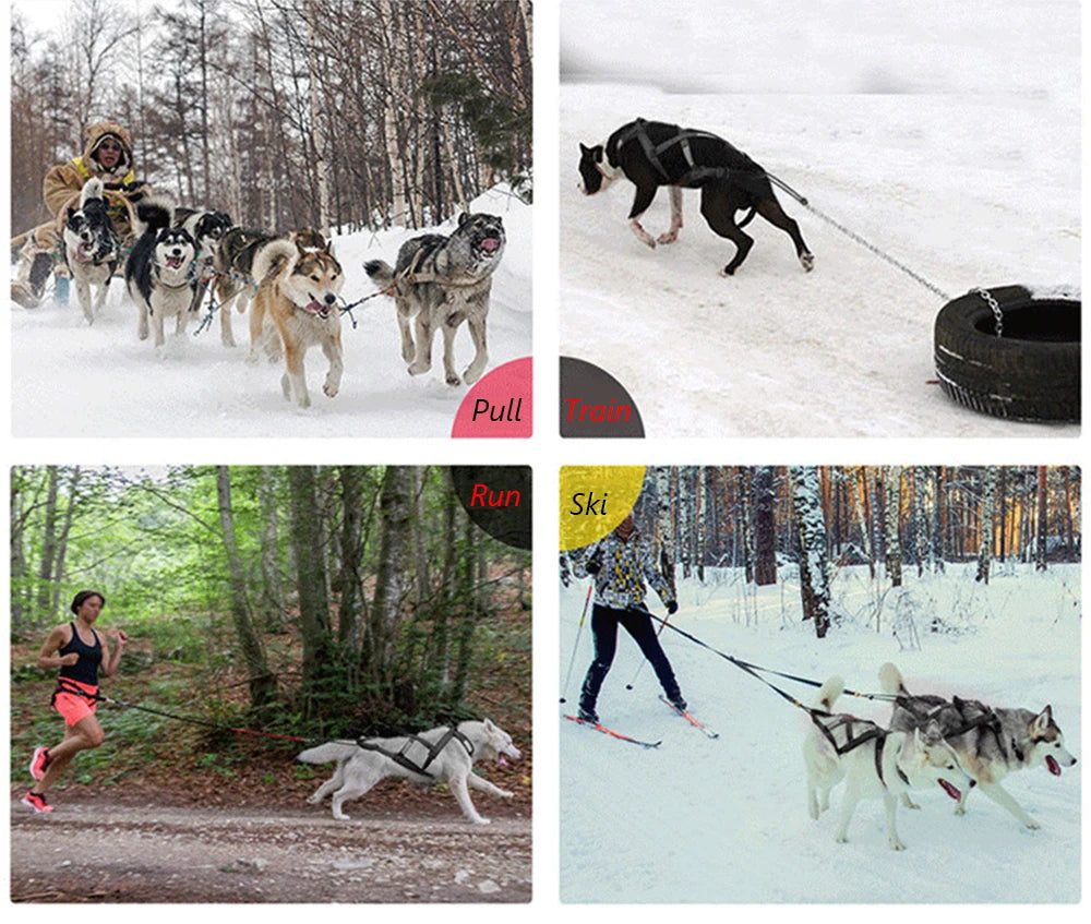 High Quality Big Dog Sledge Harness Skiing Running Pet Harnesses for Medium Large Dogs Alaska Hound Bulldog mascotas Accessories