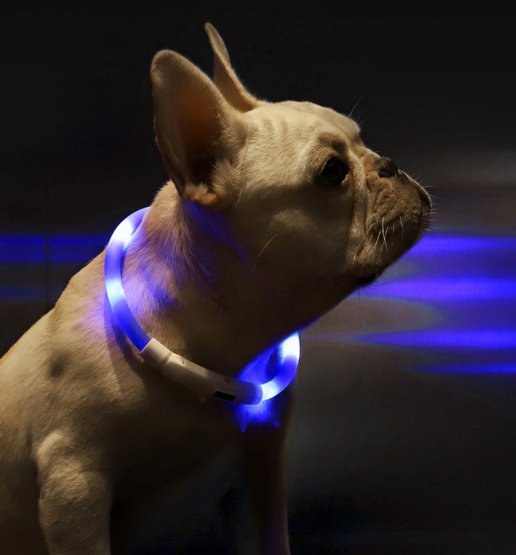 Pet Light Collar Anti-Lost Collar for Dogs Pet Collars - You Offer