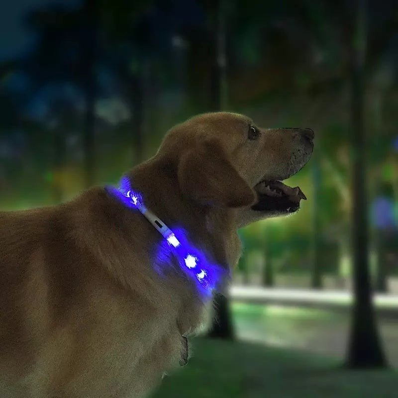 Pet Light Collar Anti-Lost Collar for Dogs Pet Collars - You Offer