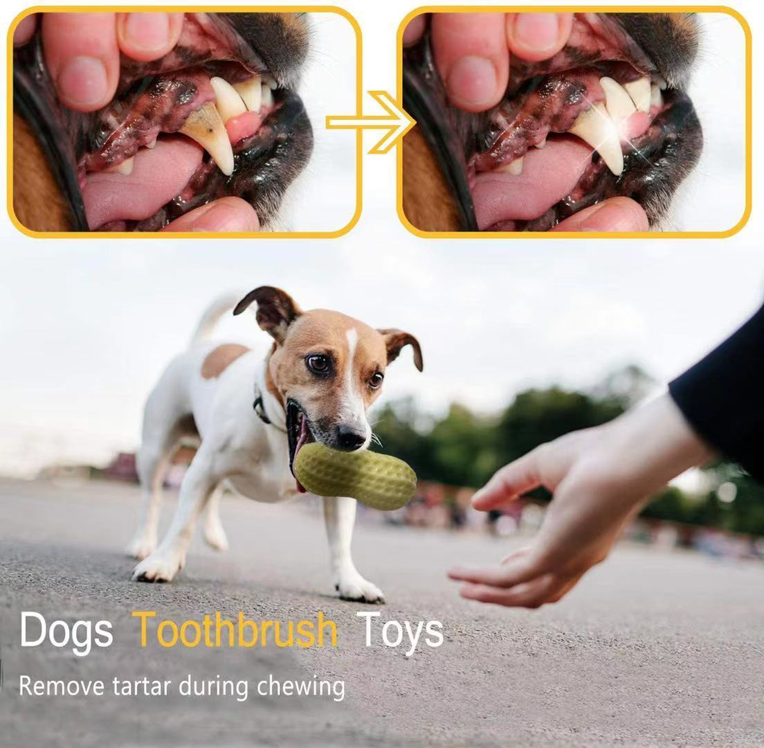 Funny Pet Dog Squeaky Toys For Small Middle Dogs Bite Resistant Puppy Cat Dogs Toys Pets Rubber Peanut Clean Tooth Chew Toy - You Offer