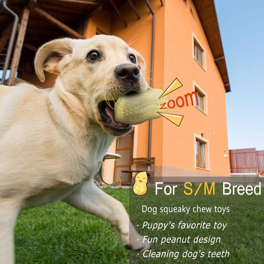Funny Pet Dog Squeaky Toys For Small Middle Dogs Bite Resistant Puppy Cat Dogs Toys Pets Rubber Peanut Clean Tooth Chew Toy - You Offer