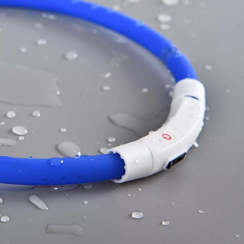Pet Light Collar Anti-Lost Collar for Dogs Pet Collars - You Offer