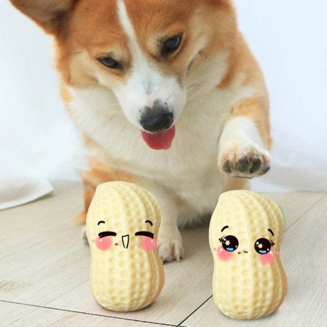 Funny Pet Dog Squeaky Toys For Small Middle Dogs Bite Resistant Puppy Cat Dogs Toys Pets Rubber Peanut Clean Tooth Chew Toy - You Offer