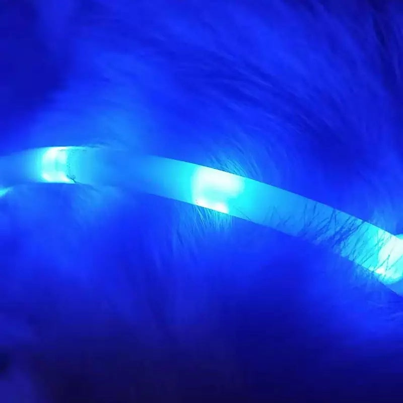 Pet Light Collar Anti-Lost Collar for Dogs Pet Collars - You Offer