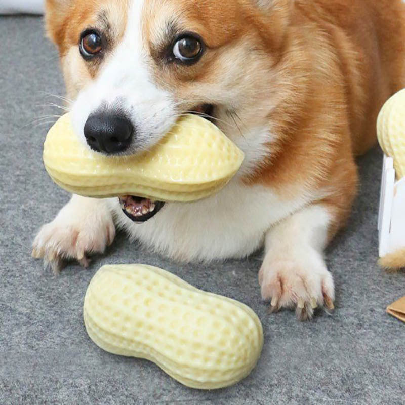 Funny Pet Dog Squeaky Toys For Small Middle Dogs Bite Resistant Puppy Cat Dogs Toys Pets Rubber Peanut Clean Tooth Chew Toy - You Offer