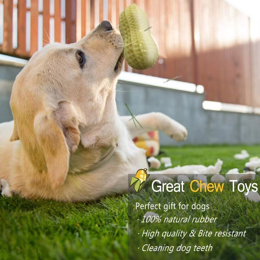Funny Pet Dog Squeaky Toys For Small Middle Dogs Bite Resistant Puppy Cat Dogs Toys Pets Rubber Peanut Clean Tooth Chew Toy - You Offer