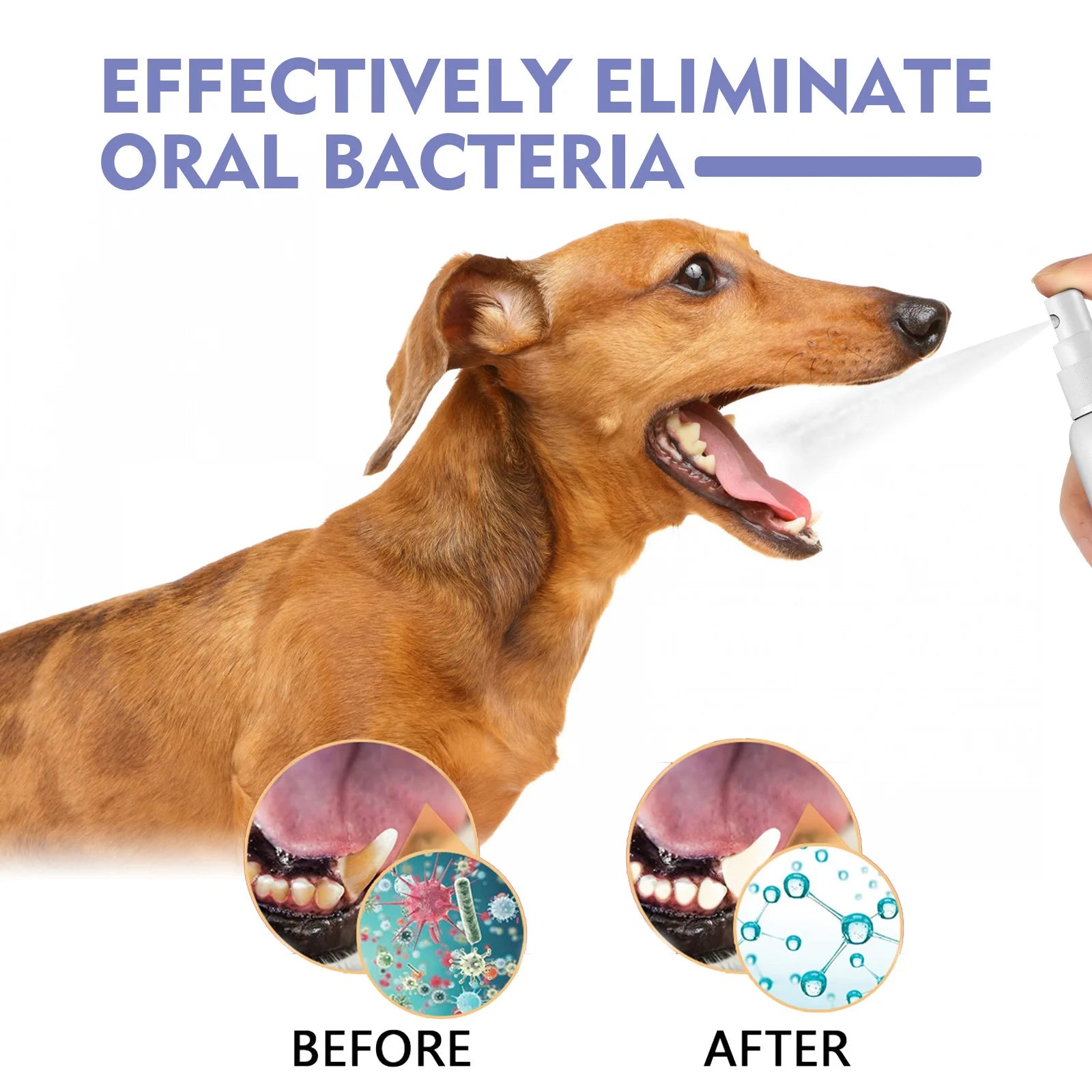 Yegbong 30ml Pet Teeth Cleaning Spray Cats Dogs Whitening Remove Bad Breath Tooth Stains Calculus Deodorant Pet Oral Care Spray