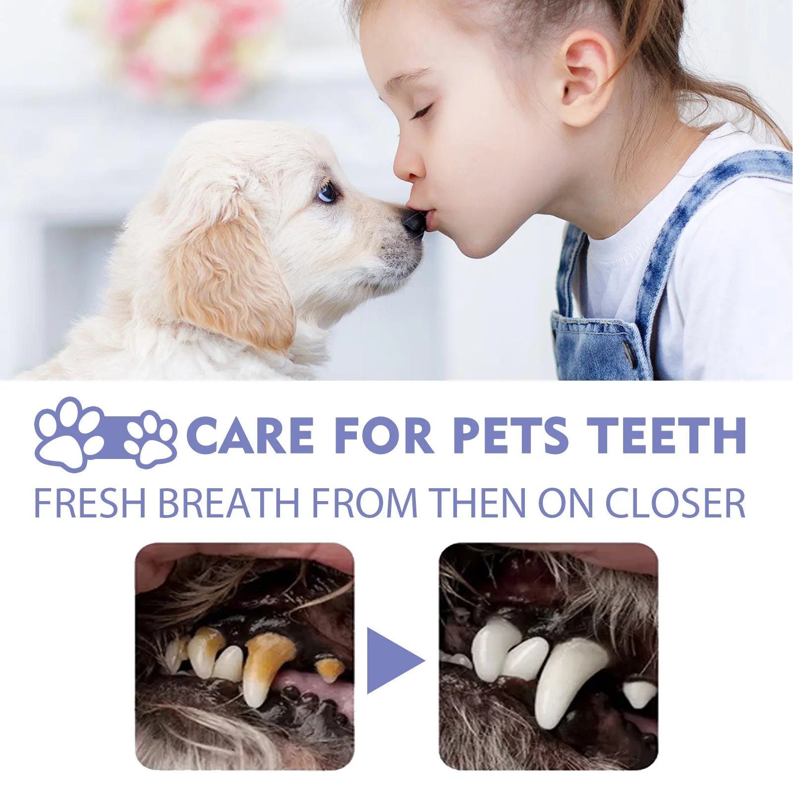 Yegbong Pet Oral Cleaning Spray Dogs Cats Mouth Fresh Deodorant Remove Tartars Bad Breath Removal Health Care Pet Odor Cleaner