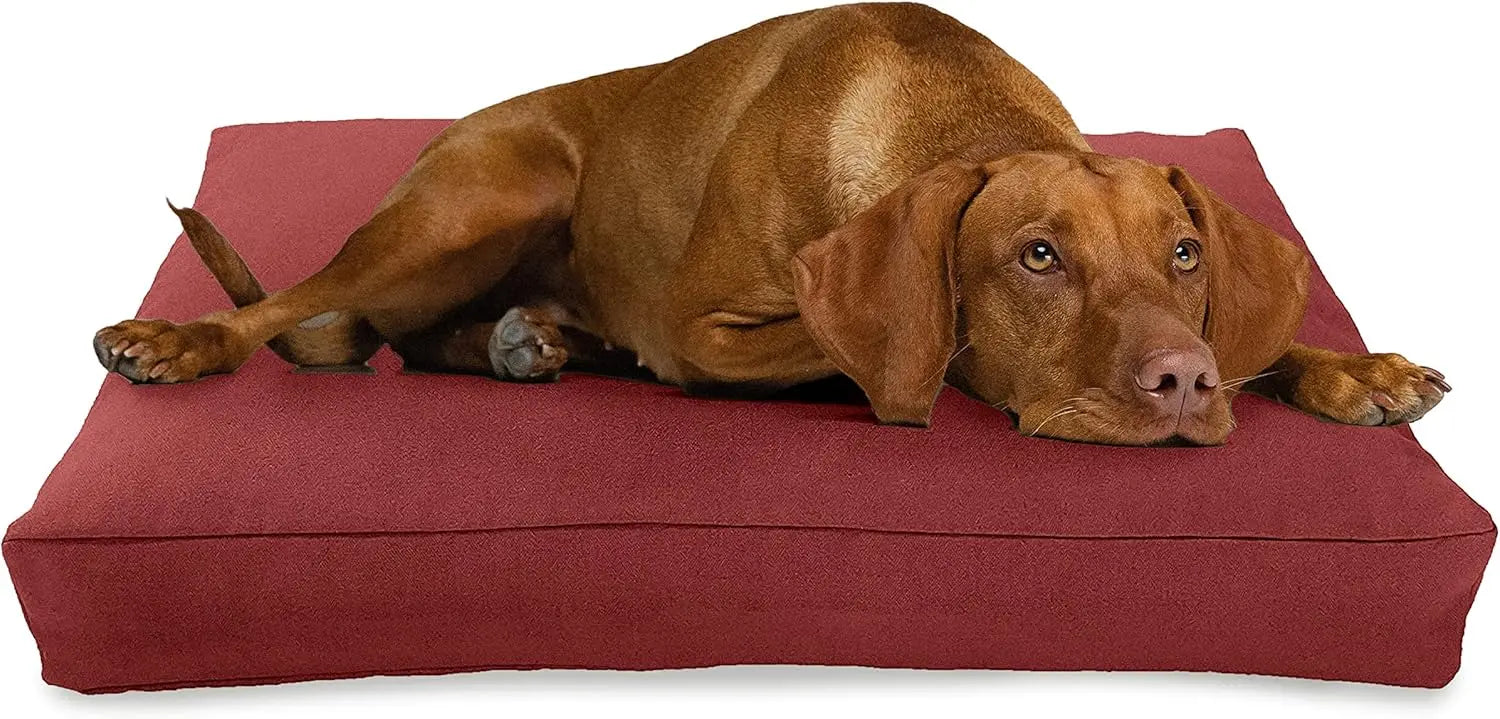 X-Large - 48 x 30 x 5 Premium Organic Hemp Dog Bed Organic Latex Fill - Removeable Cover