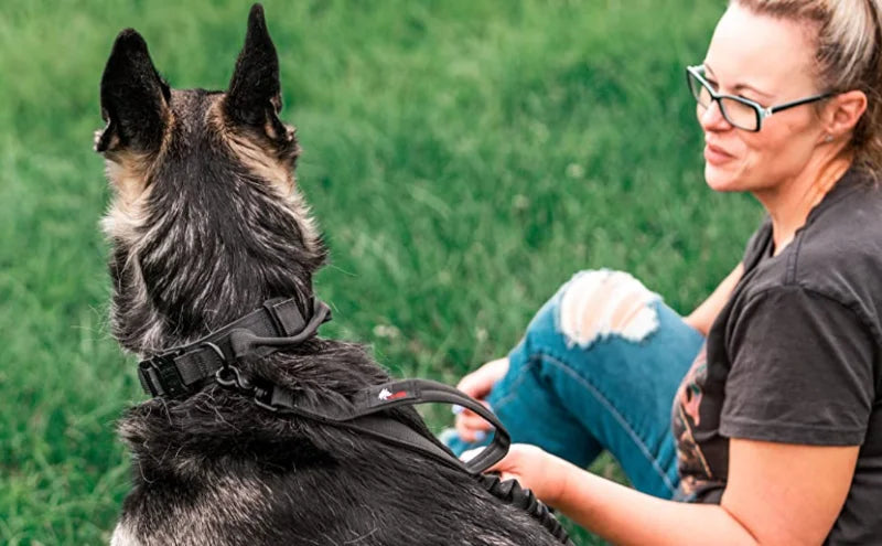 Military Tactical Dog Collar Nylon Adjustable Durable German Shepherd for Medium Large Outdoor Walking Training Pet Supplies