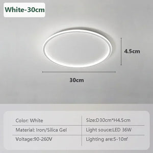 Modern LED Ceiling Lights 20/30/50/80cm Remote Control Lamps Bedroom Living Room Dinning Room Kitchen Hotel Home Led Lamp Lustre
