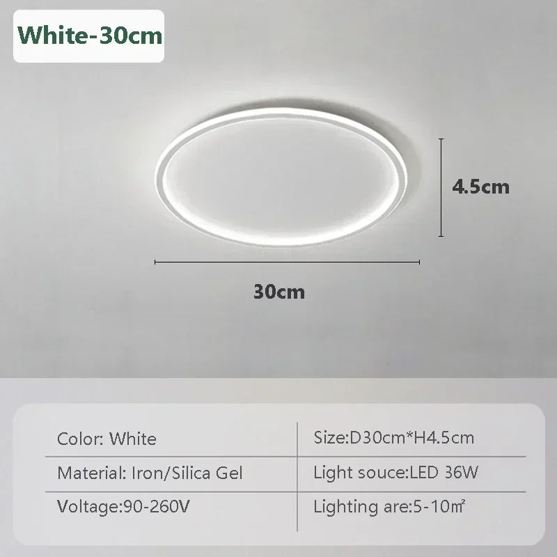 Modern LED Ceiling Lights 20/30/50/80cm Remote Control Lamps Bedroom Living Room Dinning Room Kitchen Hotel Home Led Lamp Lustre