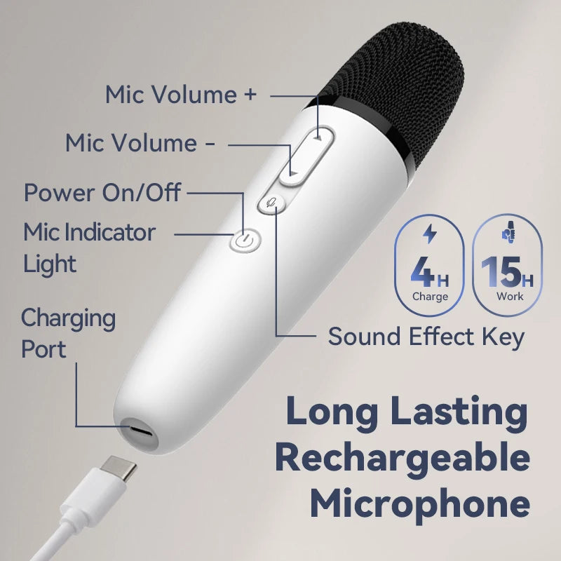 T1-Car Karaoke Microphone for Tesla Model Y/3/X/Cybertruck, Rechargeable Caraoke Mic with USB-A & USB-C Receiver, Plug to Use