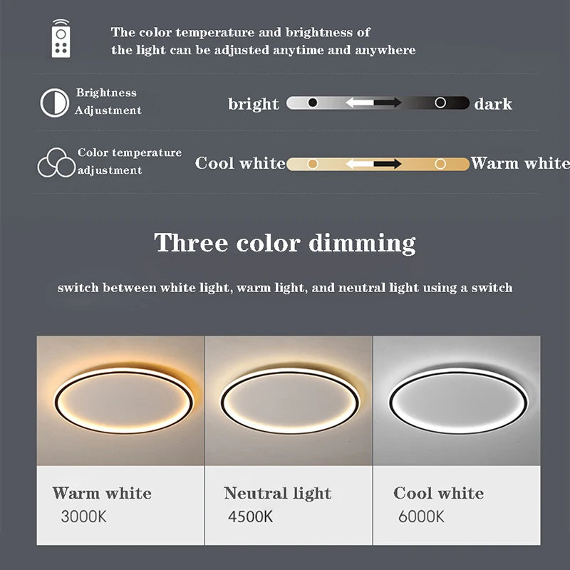 Modern LED Ceiling Lights 20/30/50/80cm Remote Control Lamps Bedroom Living Room Dinning Room Kitchen Hotel Home Led Lamp Lustre